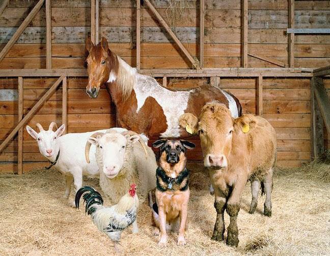 375b8257 5f12 44f9 bea0 efcbb1b1f75a