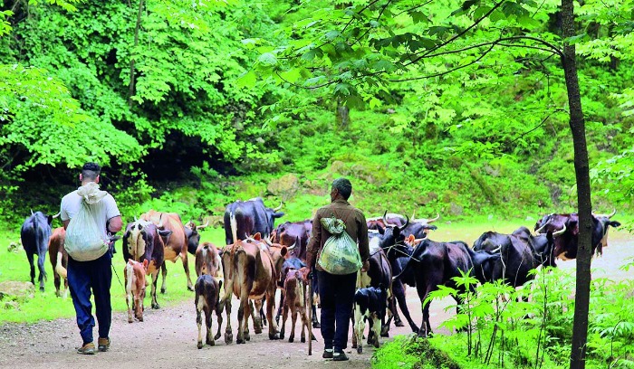 3b7df14b 768c 482b a2cb c1121d3fc18c