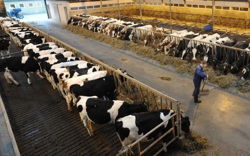 6b54f117 80e8 494a 819f 5f5f886d7153