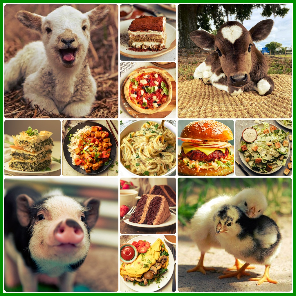 8a2a9372 ef5f 4579 85e4 2c2e0e65dab3