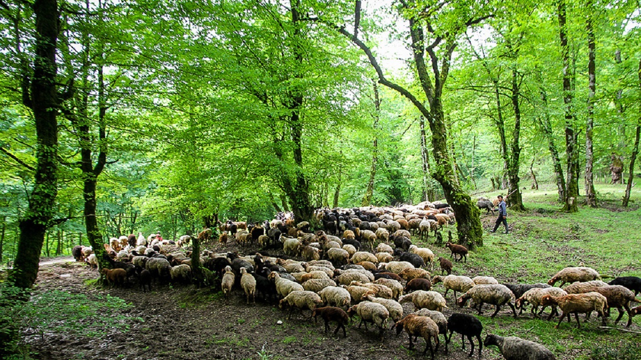 8ece5765 60ce 4a09 b570 f38ff384ccf4