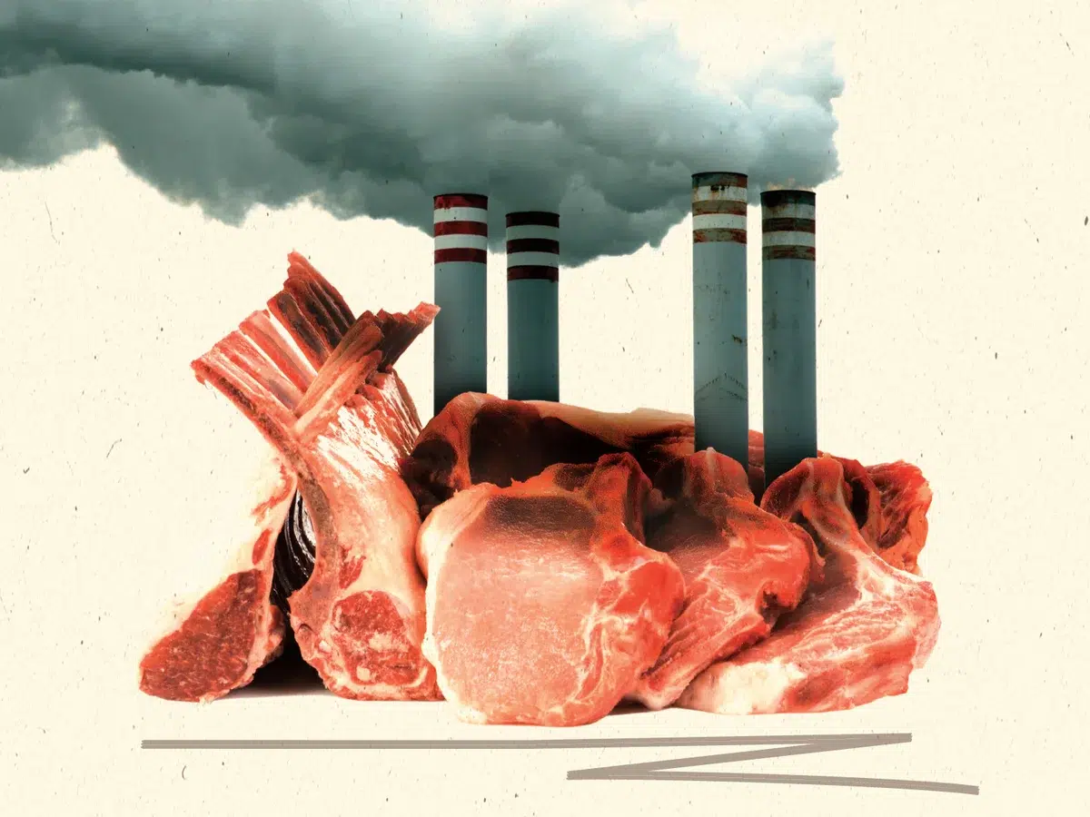 c42e242e 8794 4700 9dd9 533aa6ac598b