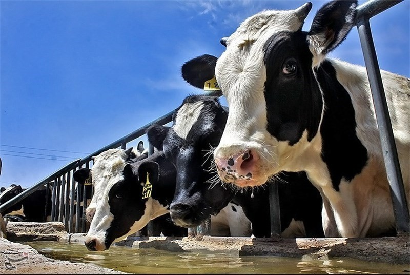 2305094f 0b50 4d20 a422 5e22e0a02ad0