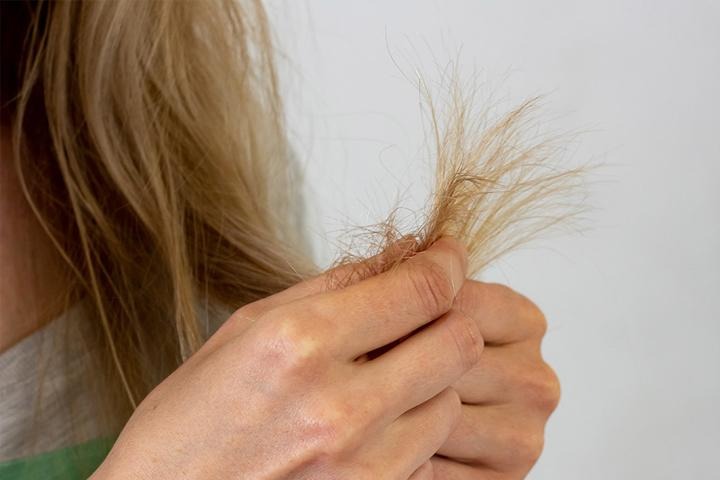 C:UserssDesktopmain-cause-of-hair-breakage-should-know-2.jpg