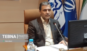 دیابت و سرطان در صدر بیماری‌های نشاندار شده در زنجان