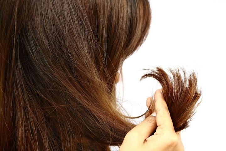 C:UserssDesktopmain-cause-of-hair-breakage-should-know-3.jpg