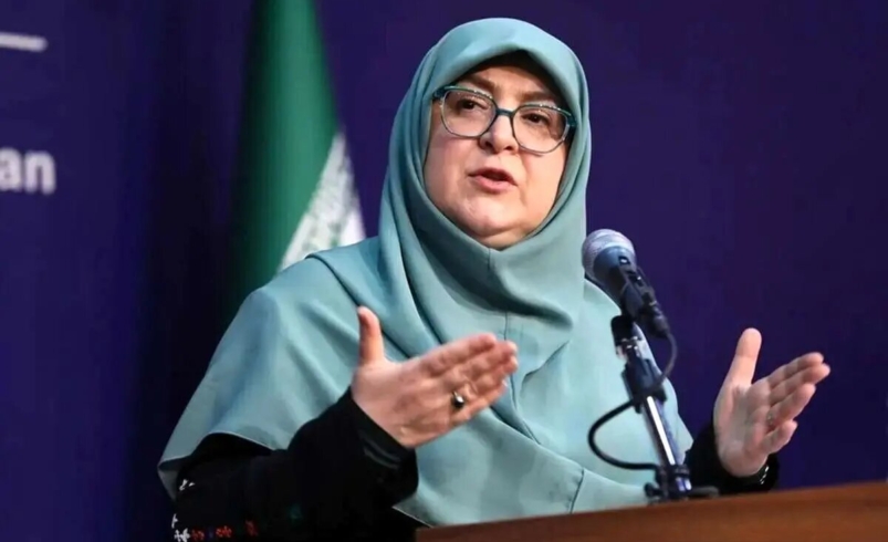 سخنگوی دولت درباره اختلالات اینترنت چه گفت؟