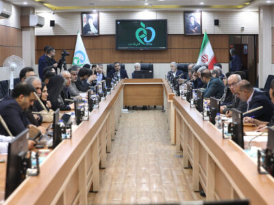 مهلت یک‌ماهه مجلس برای گزارش جامع مشکلات دارو